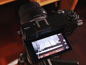 Sony NEX-6 horizontal viewer